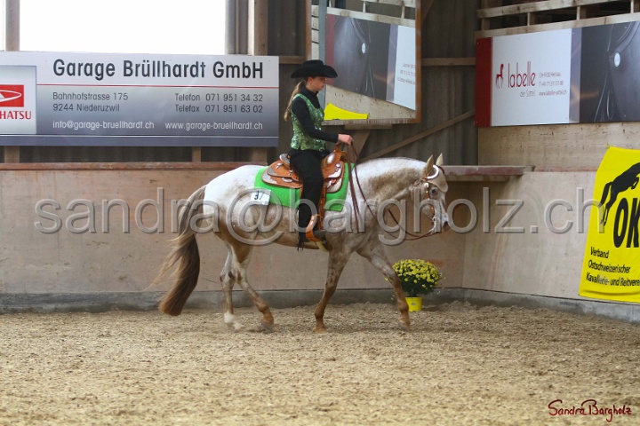 31-ApHC OWP_037.jpg